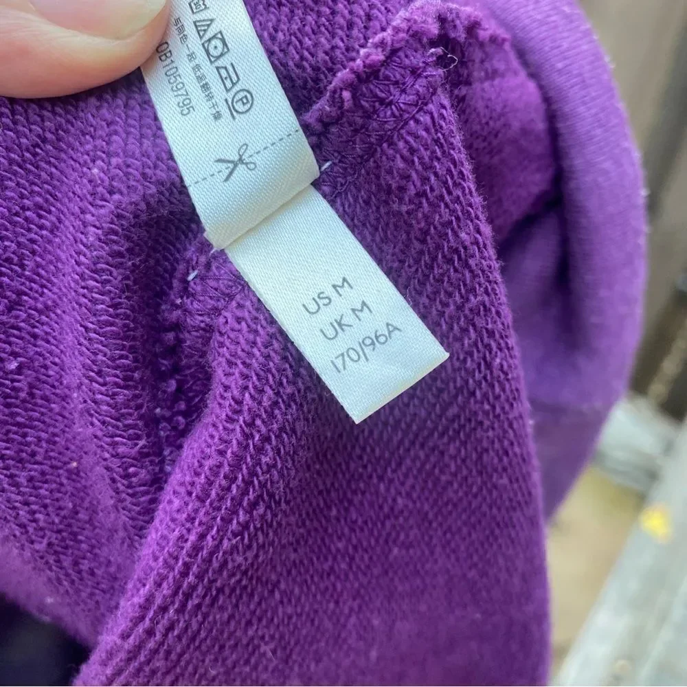 Free People Ombre Metti Sweatshirt Medium